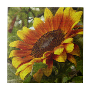 Azulejo de Cerâmica de Girassol Amarelo e Laranja