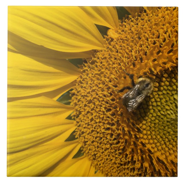 Azulejo de cerâmica de Mel de Girassol Amarelo (Frente)