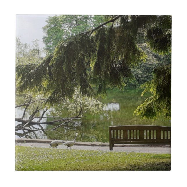 Azulejo de cerâmica de Pond (Frente)