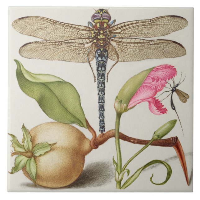 Azulejo de cerâmica de Vintage (Frente)