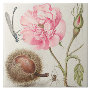 Azulejo de cerâmica de Vintage