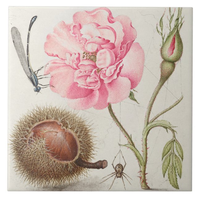 Azulejo de cerâmica de Vintage (Frente)