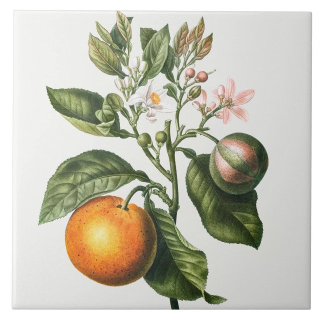 Azulejo de cerâmica de Vintage (Frente)