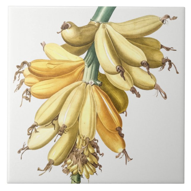 Azulejo de cerâmica de Vintage (Frente)