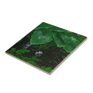 Azulejo De Cerâmica Decorativa/ Hostas Com Gotas D