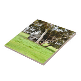 Azulejo de cerâmica do velho caco de madeira