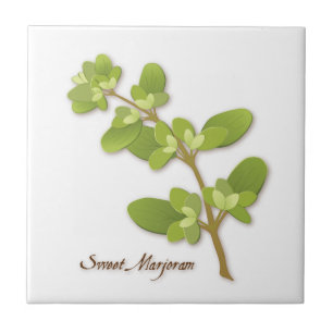 Azulejo de cerâmica doce Marjoram Herb