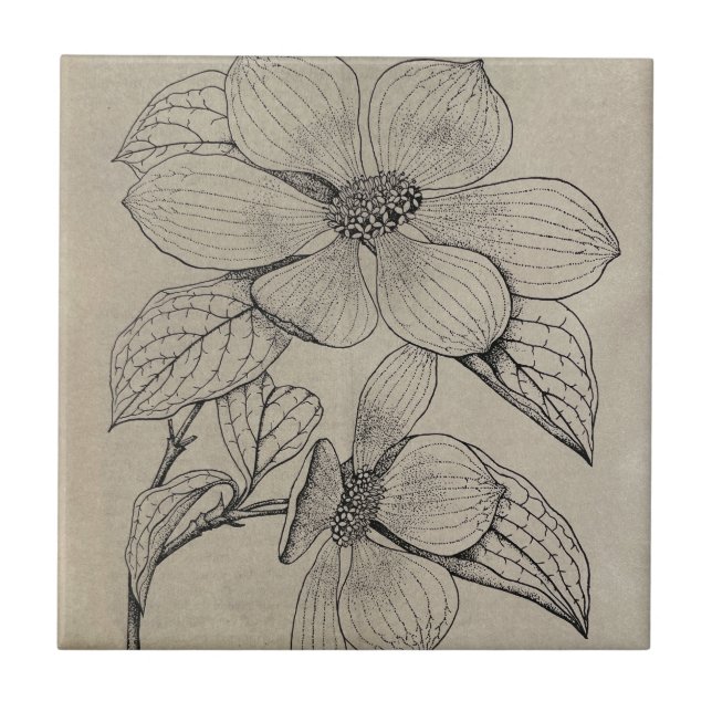 Azulejo de cerâmica Dogwood (Frente)