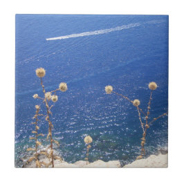 Azulejo de cerâmica grega do mar azul