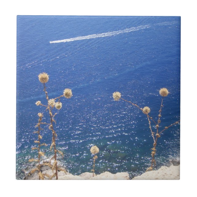 Azulejo de cerâmica grega do mar azul (Frente)