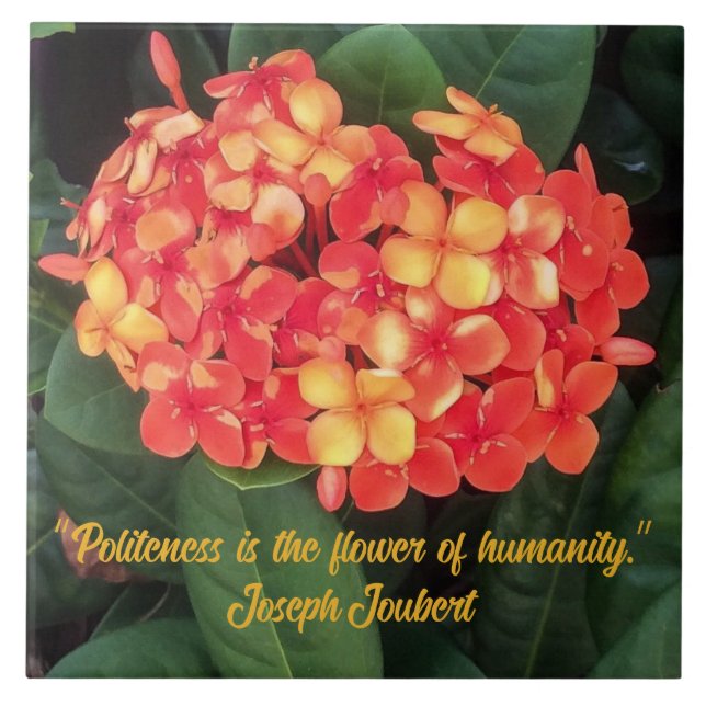 Azulejo De Cerâmica Ixora Blooming (Frente)