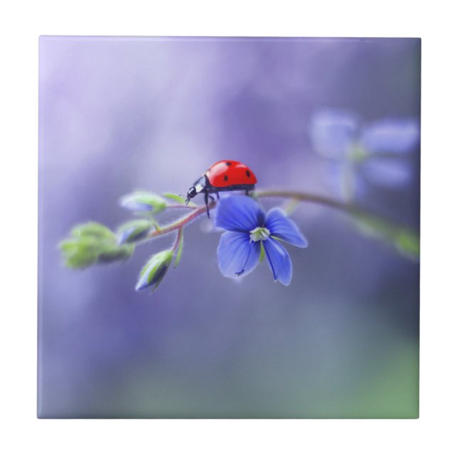 AZULEJO de cerâmica LADYBUG (Frente)