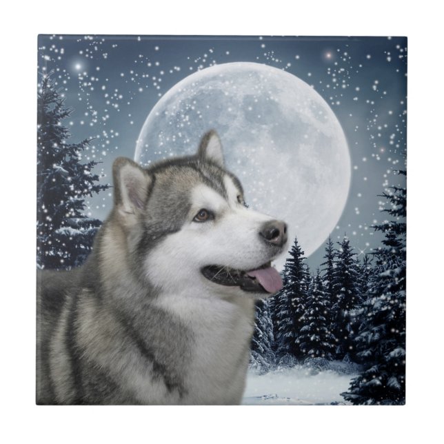 Azulejo de cerâmica Malamute (Frente)