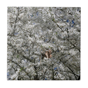 Azulejo de cerâmica Mirabelle Blossom