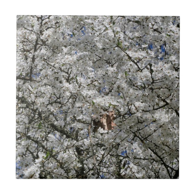 Azulejo de cerâmica Mirabelle Blossom (Frente)