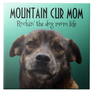 Azulejo de cerâmica Mountain Cur
