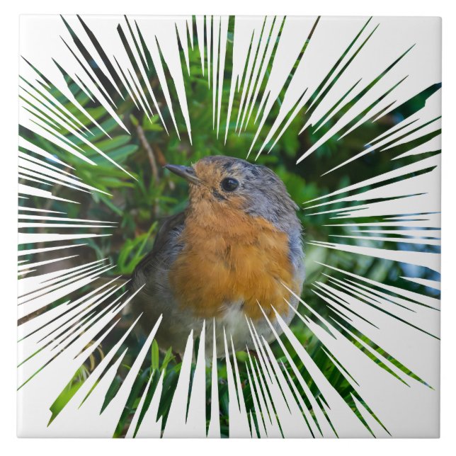 Azulejo de cerâmica para a visão do pássaro Robin (Frente)