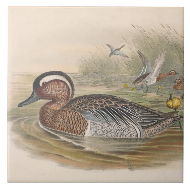 azulejo de cerâmica para decoração de patos legal (Frente)