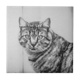 Azulejo de cerâmica para gatos pretos e brancos