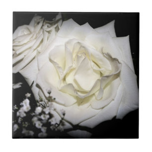 Azulejo de cerâmica White Rose