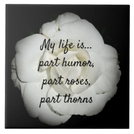 Azulejo de cerâmica White Rose