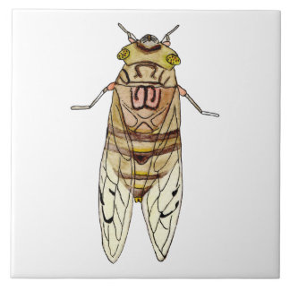 Azulejo de cigarra gigante