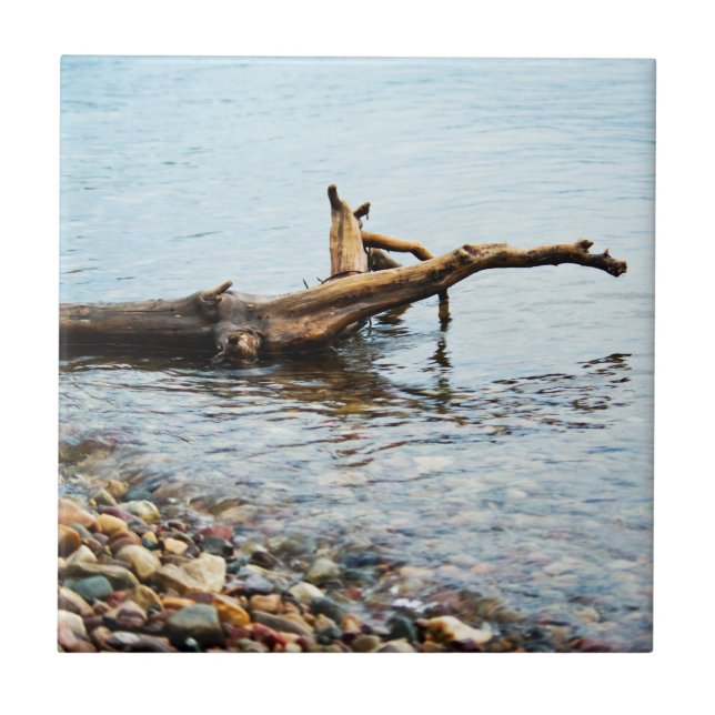 Azulejo de cores (Frente)