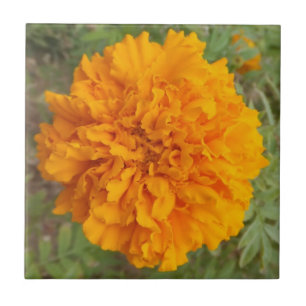 Azulejo de Cravagem Laranja