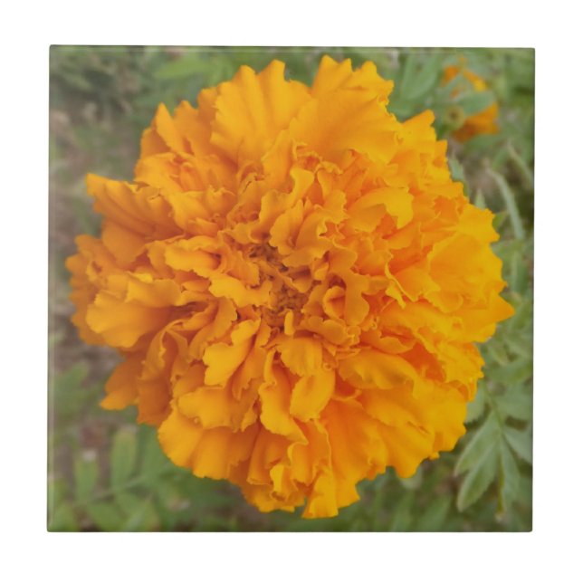 Azulejo de Cravagem Laranja (Frente)