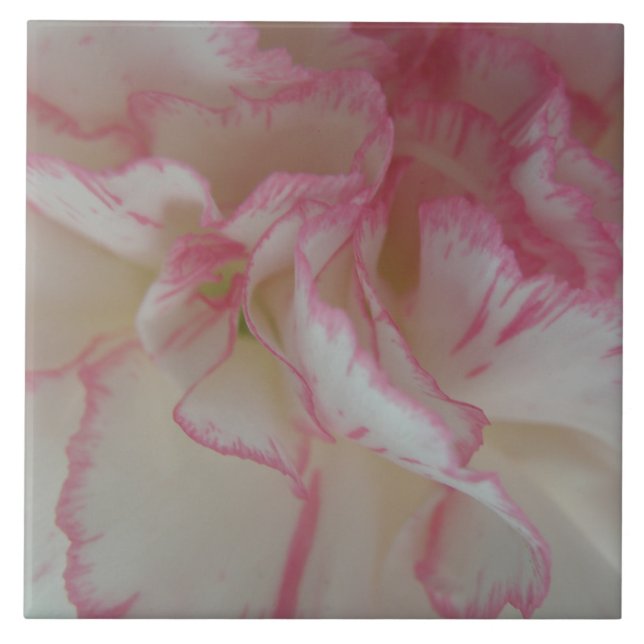 Azulejo de Cravo Branco e Rosa (Frente)