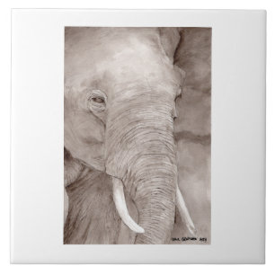 azulejo de elefante
