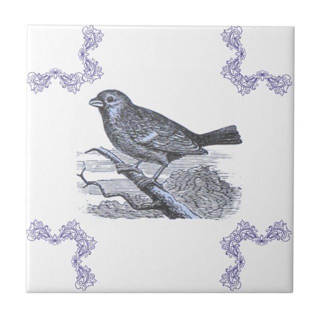 Azulejo de Ênfase Azul de Pássaro Permitido (Frente)