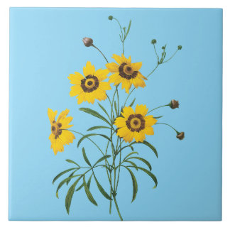 Azulejo de Flor de Coreopsis Redoute
