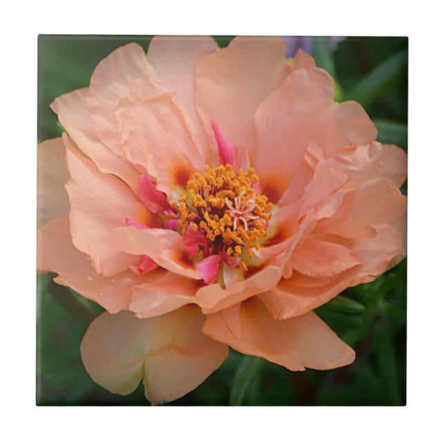 Azulejo de Flor de Pêssego (Frente)