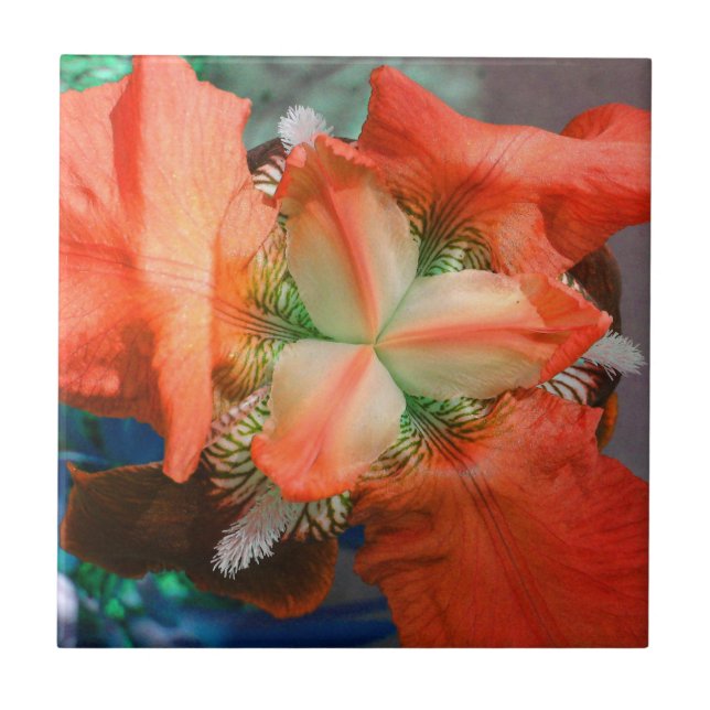 Azulejo de Flor Íris Laranja (Frente)