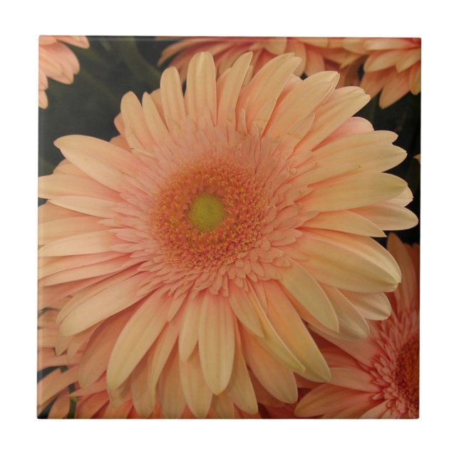 Azulejo de Flor Rosa (Frente)