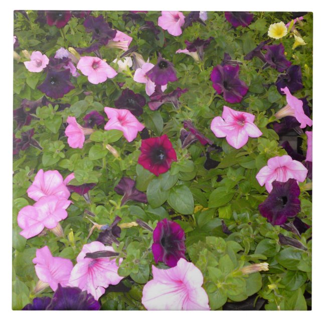 Azulejo de Flor, Rosa e Púrpura, (Frente)
