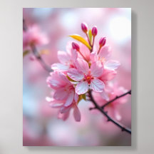 Azulejo de Foto Acrílico Flor de Rosa