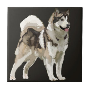 Azulejo de Foto Cerâmica de Cachorro Husky