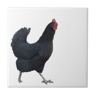 Azulejo de Foto de Frango