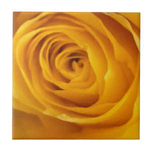 Azulejo de Foto Rosa Amarelo