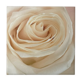 Azulejo de Foto Rosa Branca