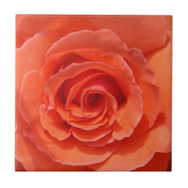 Azulejo de fotos cerâmicas por rosa