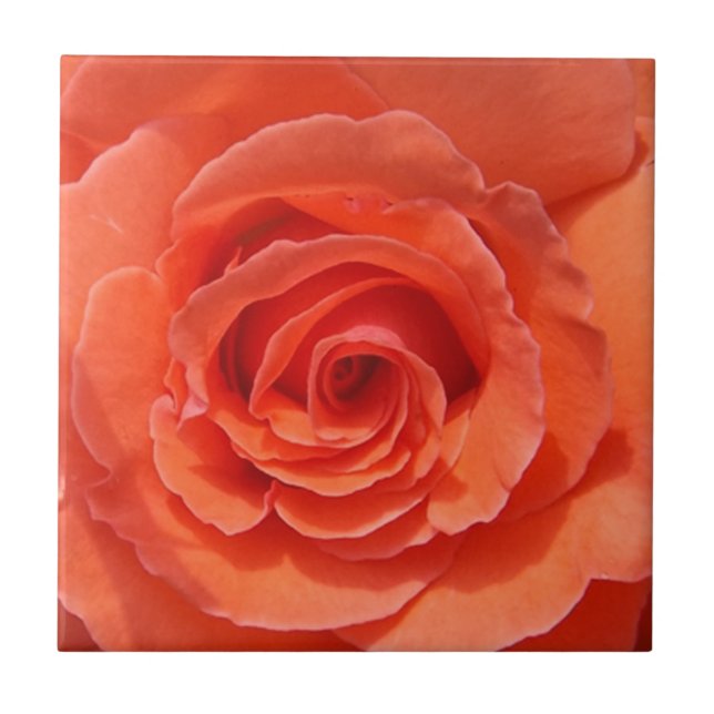 Azulejo de fotos cerâmicas por rosa (Frente)