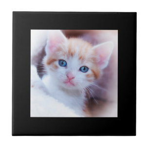 Azulejo de Fotos de Borda Preta