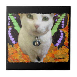 Azulejo de Gato de Leite