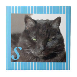 Azulejo de Gatos Cerâmicos Personalizados