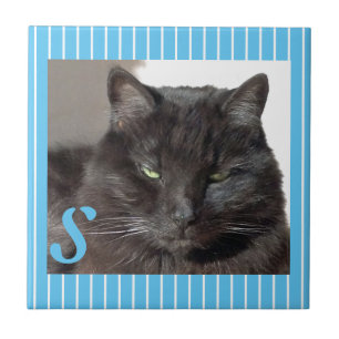 Azulejo de Gatos Cerâmicos Personalizados