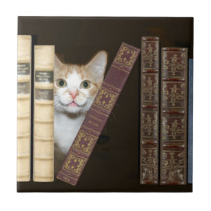 azulejo de gatos e livros