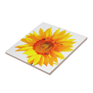 Azulejo de girassol amarelo